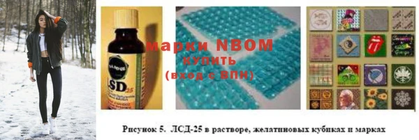 дмт Верея