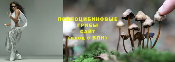 молекула духа Верхний Тагил