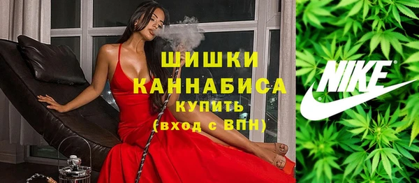 молекула духа Верхний Тагил