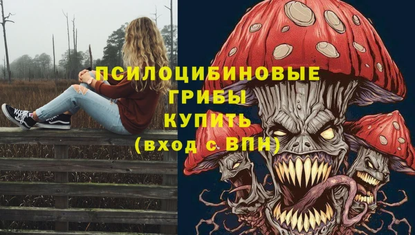 дмт Верея