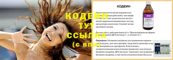 дмт Верея